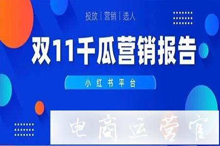 雙11報告（小紅書平臺）|國貨突圍賽-拆解品牌增長方法論